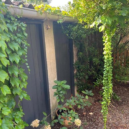Appartement Cosy Avec Jardin Quartier Calme Tuluza Zewnętrze zdjęcie