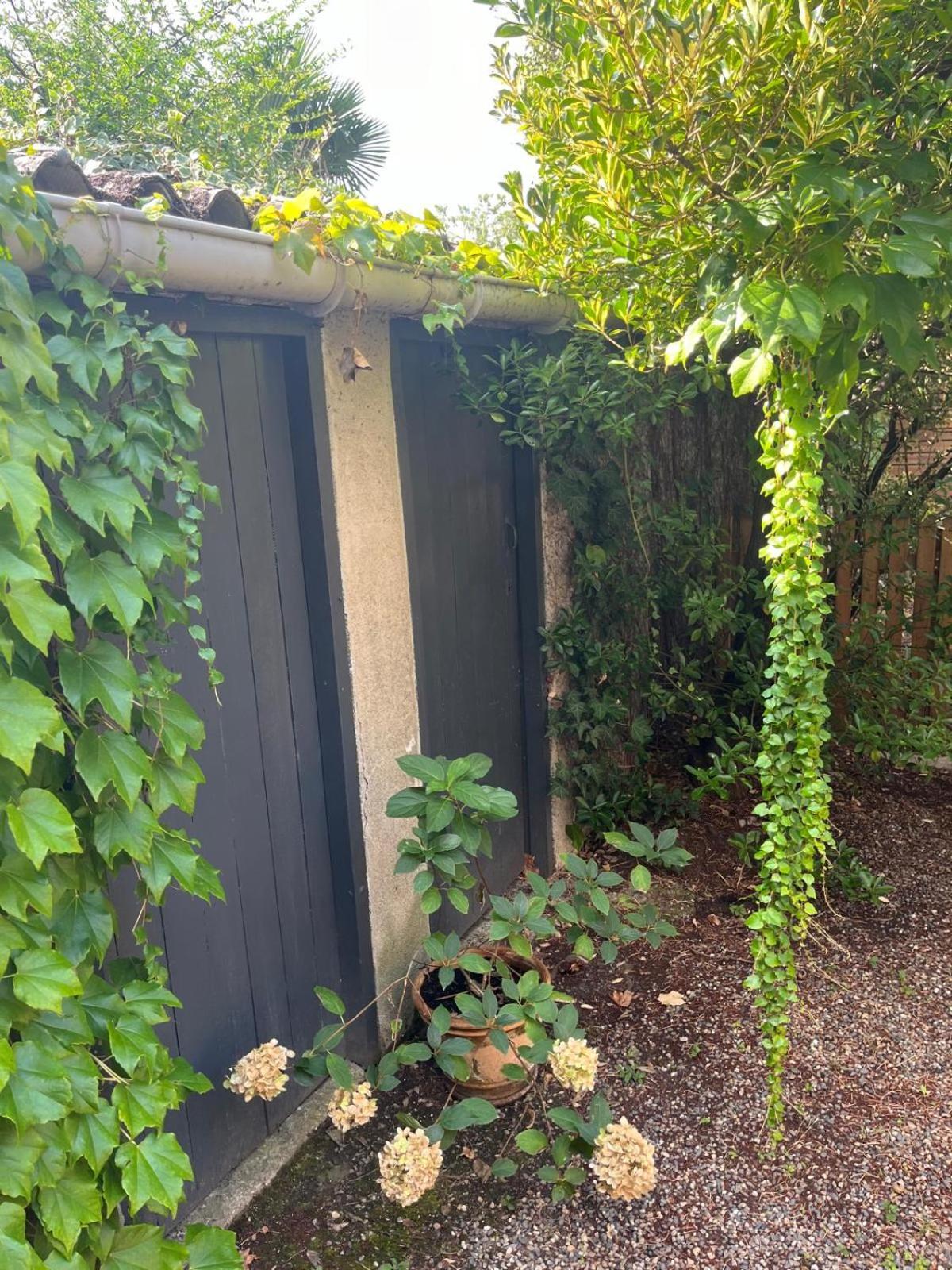 Appartement Cosy Avec Jardin Quartier Calme Tuluza Zewnętrze zdjęcie